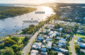 Noosa River Palms